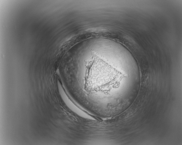 X0000058130966200510072001