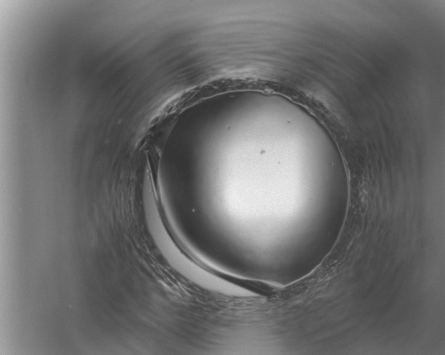 X0000058130968200510072001