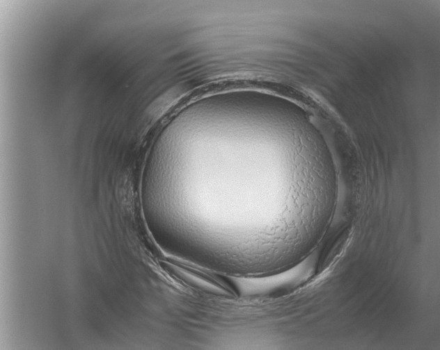 X0000058130969200510072001