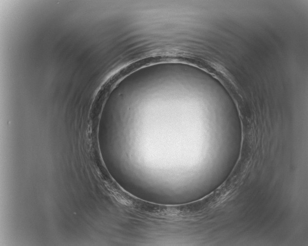 X0000058130971200510072001