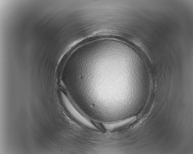 X0000058130973200510072001