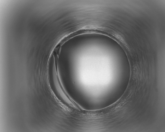 X0000058130976200510072001