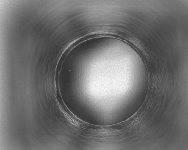 X0000058130980200510072001