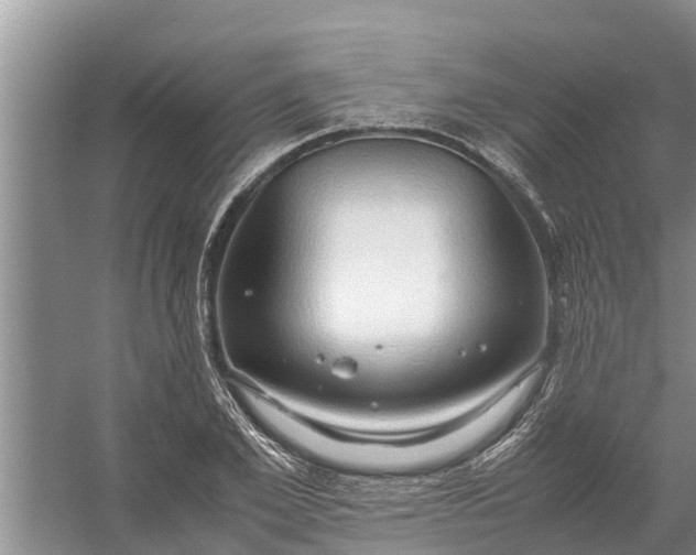 X0000058130981200510072001