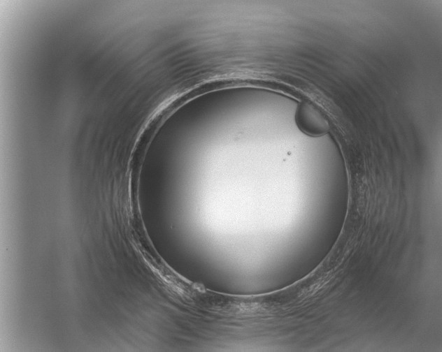 X0000058130982200510072001