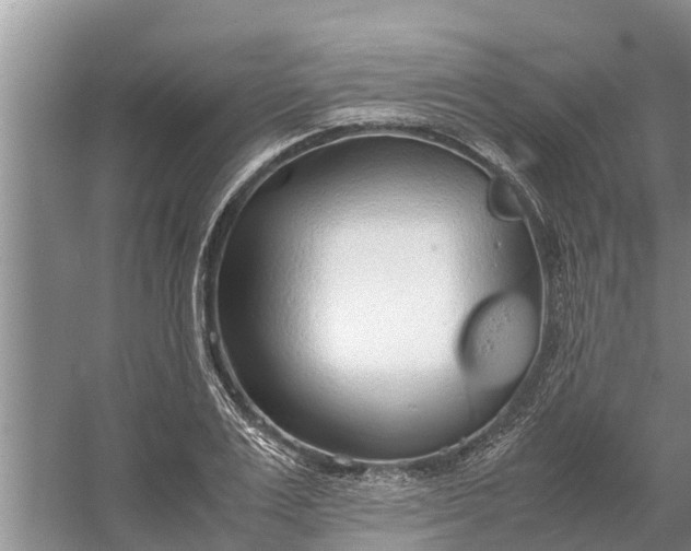 X0000058130983200510072001