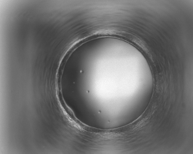 X0000058130984200510072001