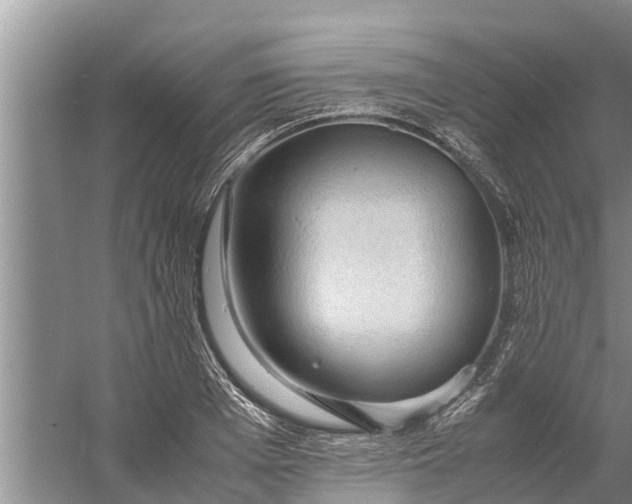 X0000058130985200510072001