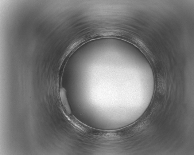 X0000058130986200510072001