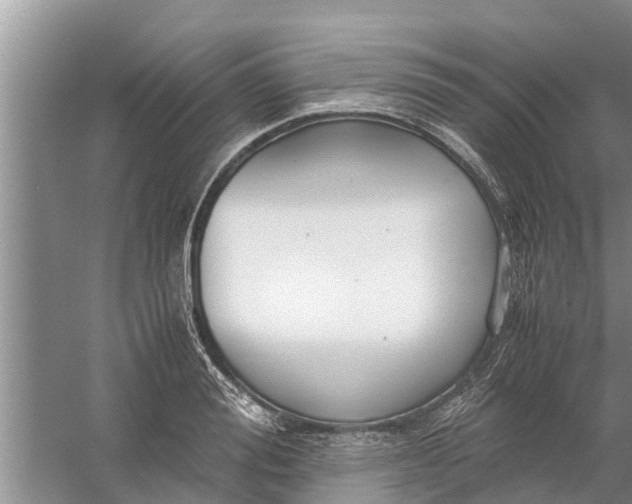 X0000058130988200510072001