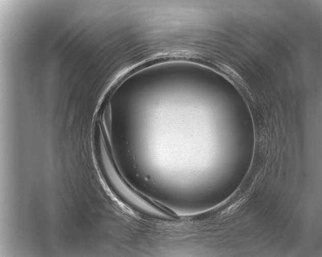 X0000058130989200510072000