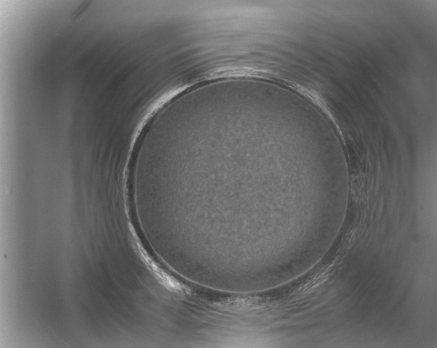 X0000058130995200510072000