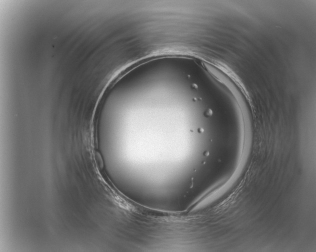 X0000058130996200510072000