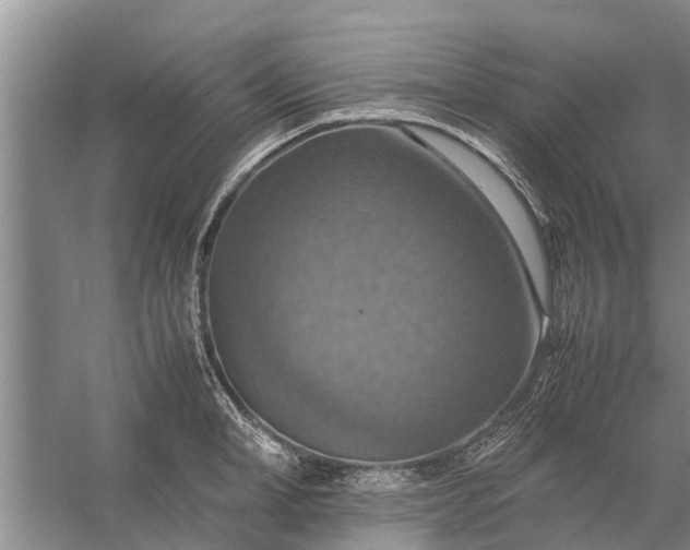 X0000058130998200510072000