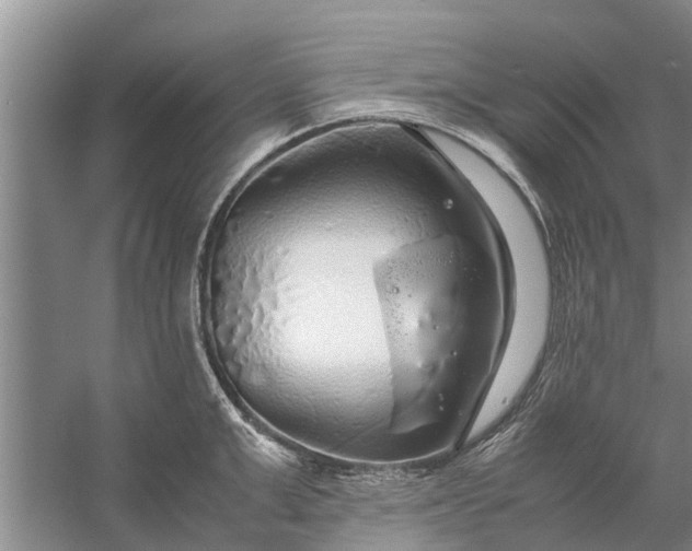 X0000058130999200510072000