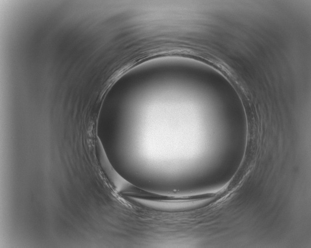 X0000058131001200510072000