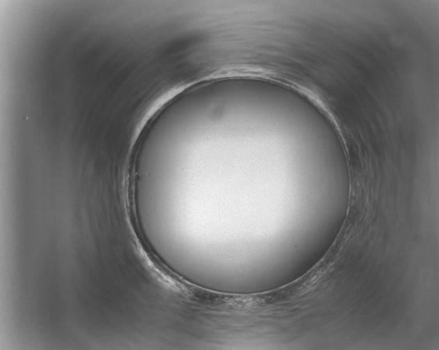 X0000058131003200510072000