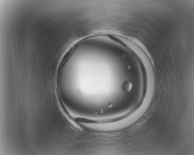 X0000058131005200510072000