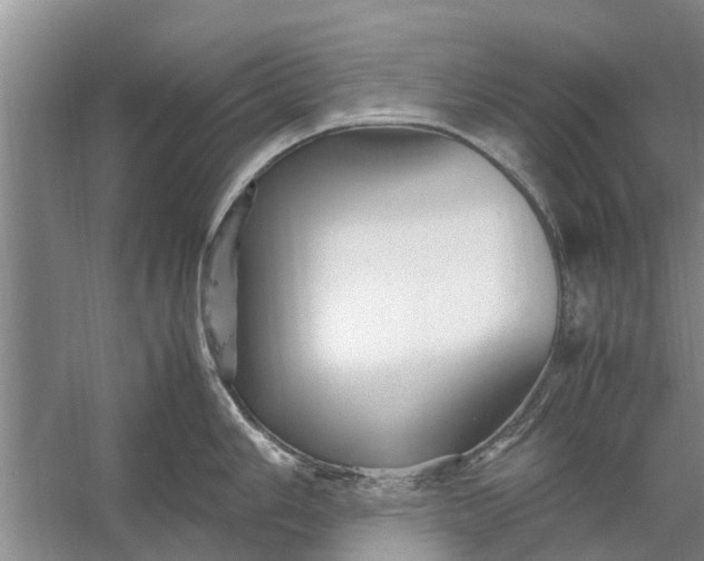 X0000058131006200510072000