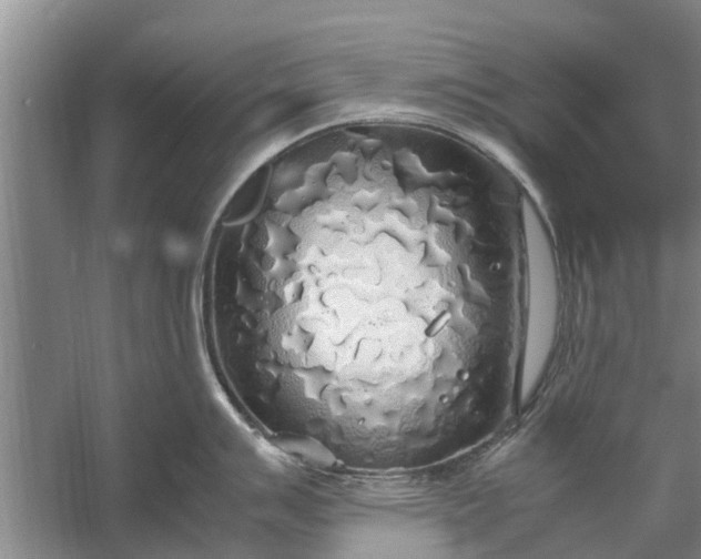 X0000058131007200510072000