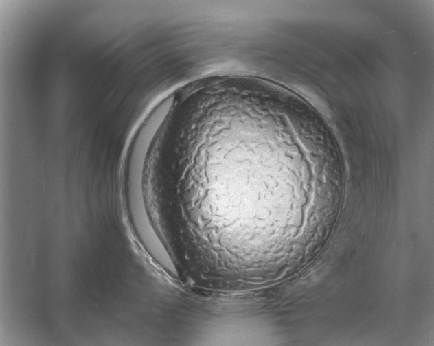 X0000058131008200510072000