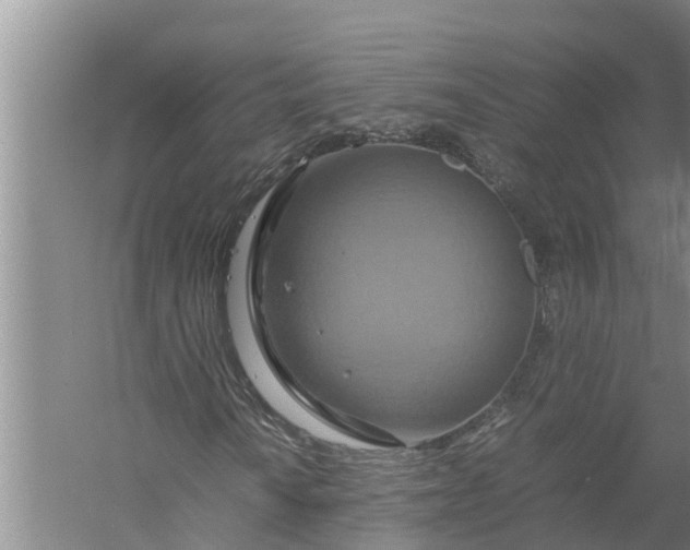 X0000058131010200510071959