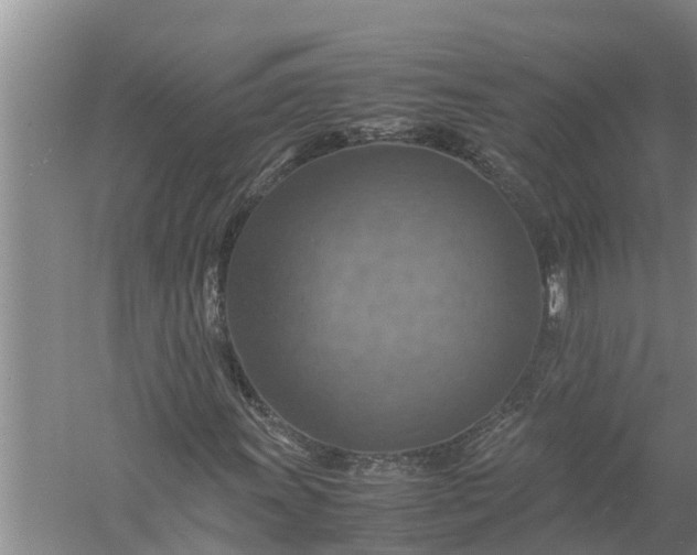 X0000058131011200510071959