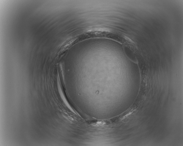 X0000058131014200510071959