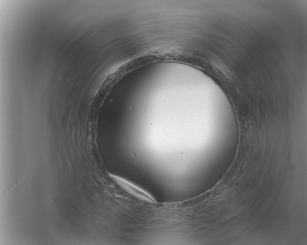 X0000058131016200510071959