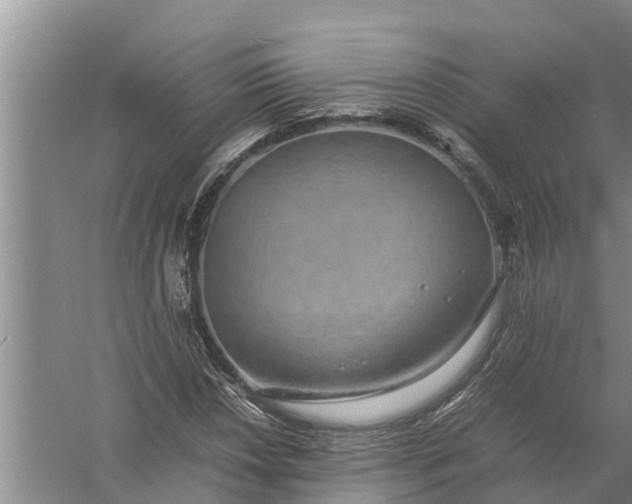 X0000058131018200510071959