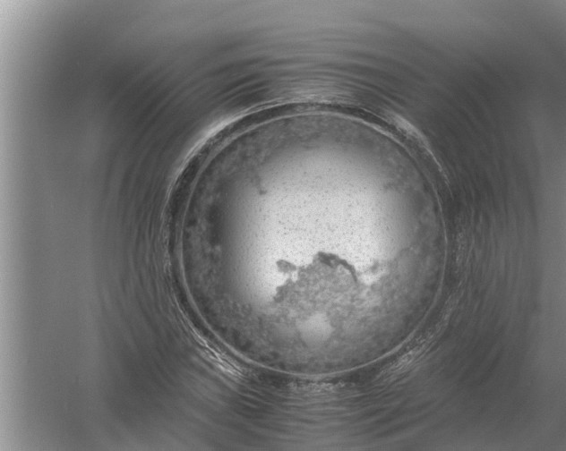 X0000058131019200510072000