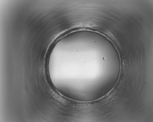 X0000058131020200510072000