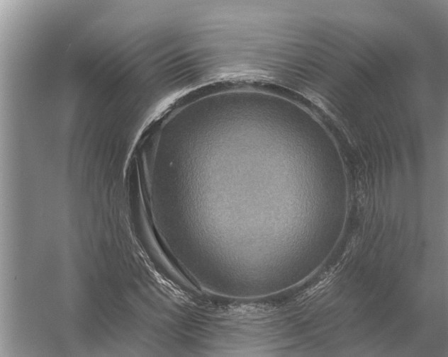 X0000058131022200510072000