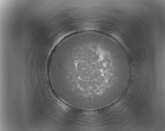 X0000058131023200510072000