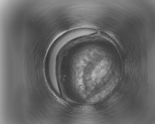 X0000058131024200510072000