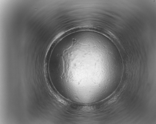 X0000058131029200510072000