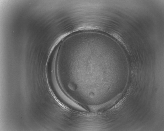 X0000058131030200510072000