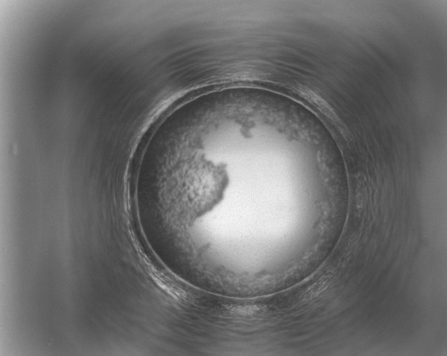 X0000058131031200510072000