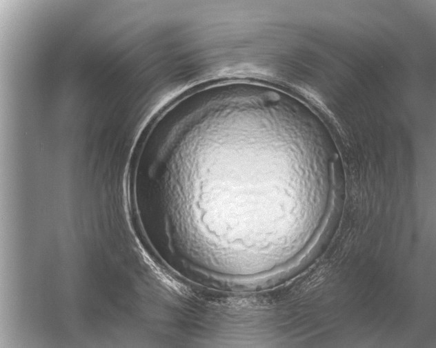 X0000058131032200510072000