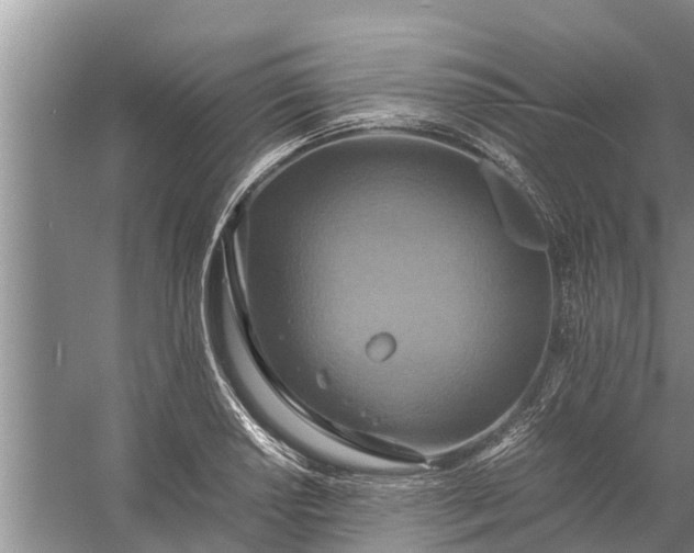 X0000058131034200510072000