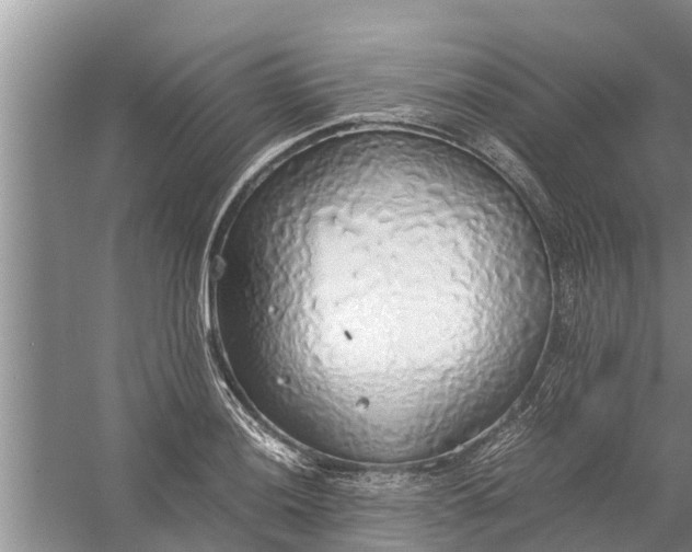 X0000058131036200510072000