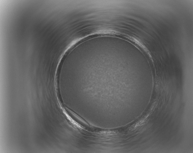 X0000058131037200510072000