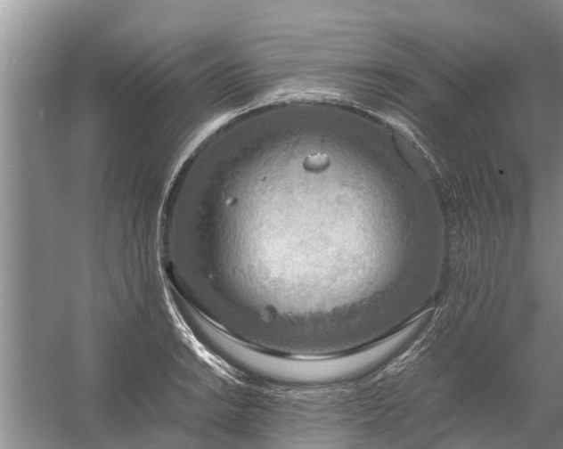 X0000058131038200510072000