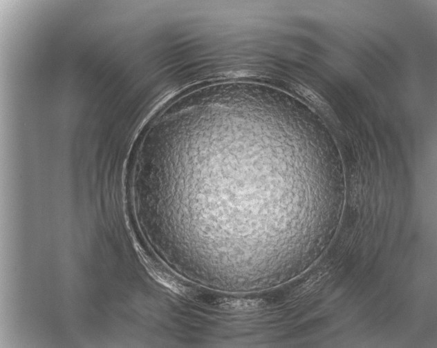 X0000058131039200510072000