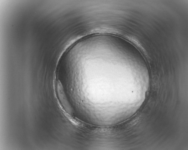 X0000058131040200510072000