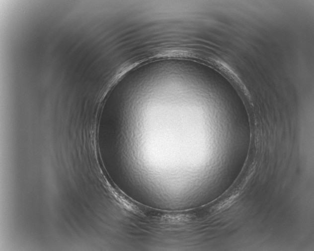 X0000058131041200510072000