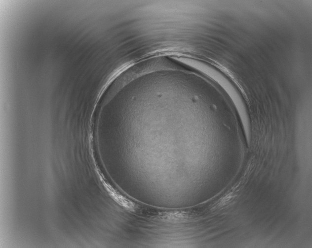 X0000058131042200510072000