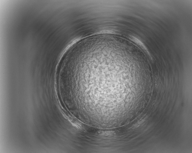 X0000058131043200510072000