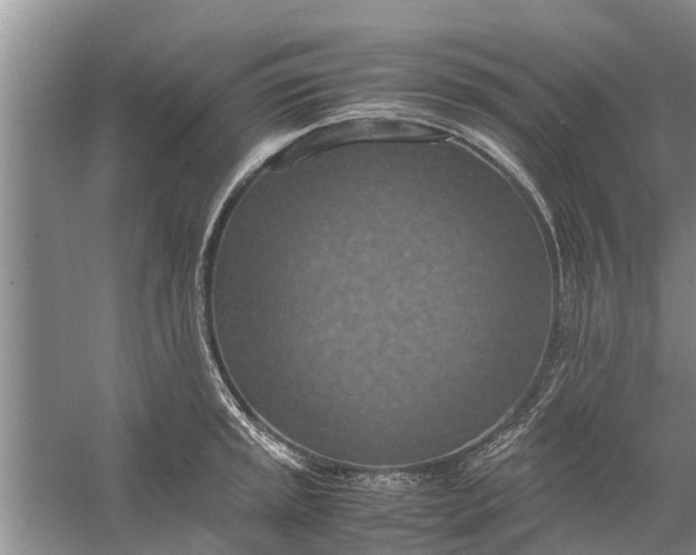 X0000058131045200510072000