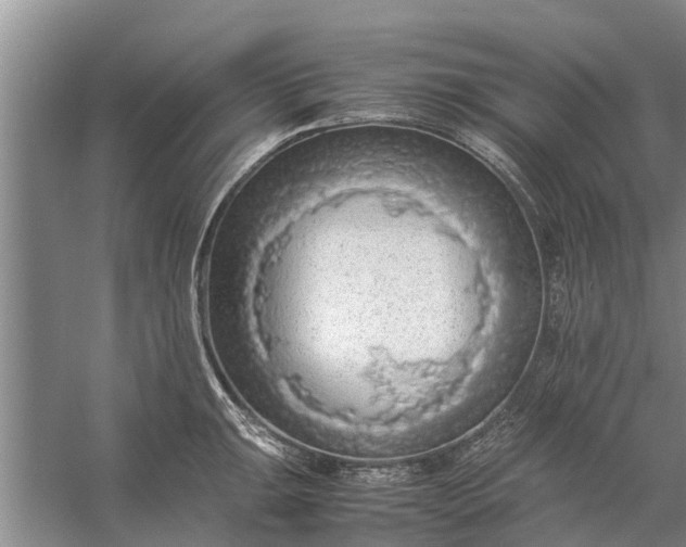 X0000058131047200510072000